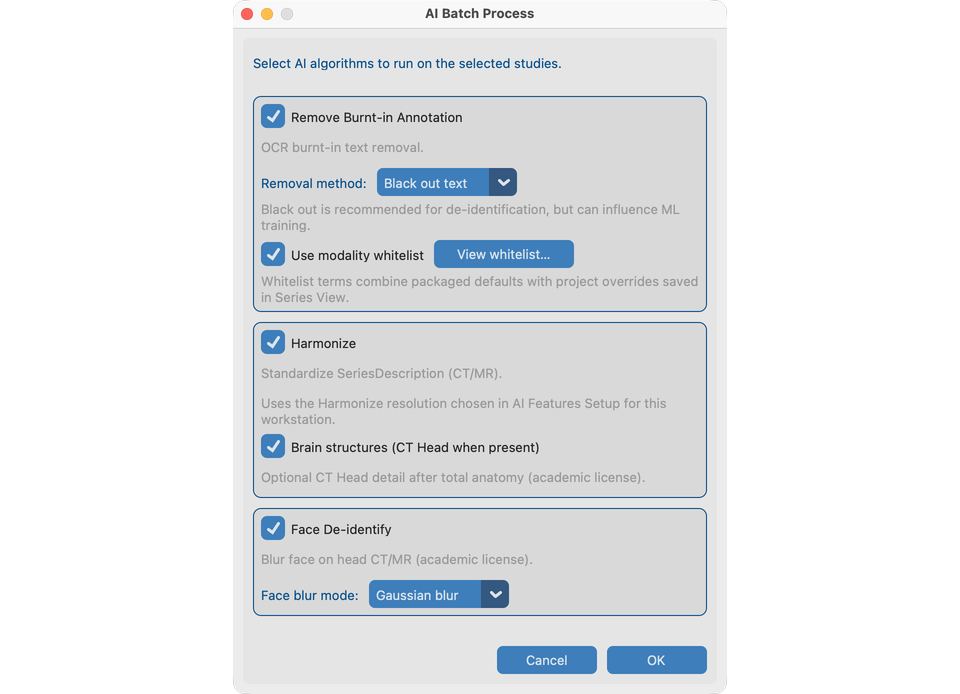 AI Batch options