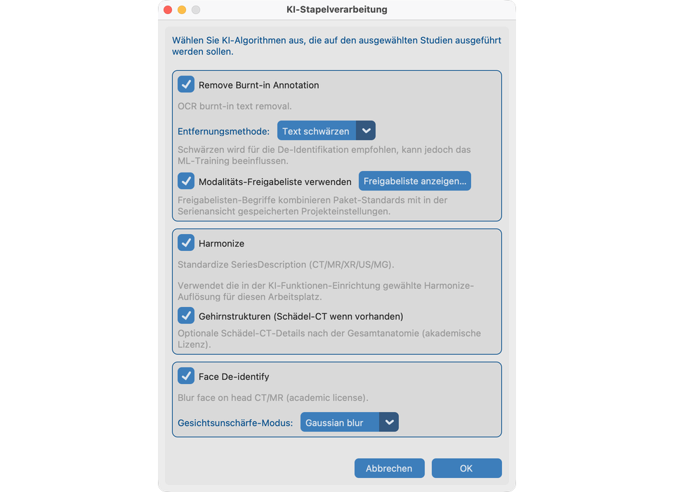 Optionen KI-Stapelverarbeitung