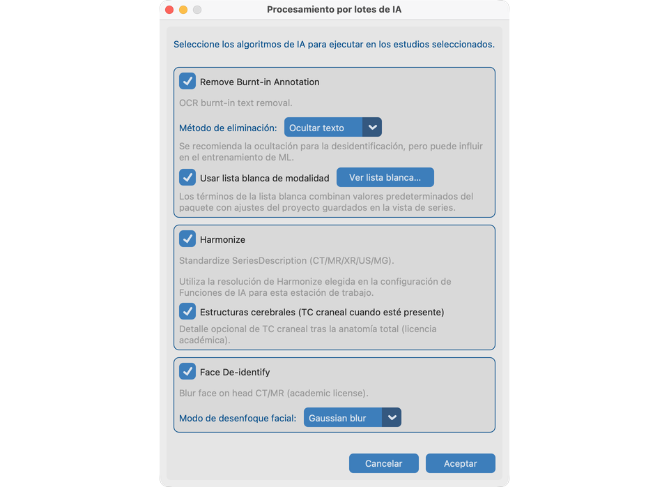 Opciones de lote de IA