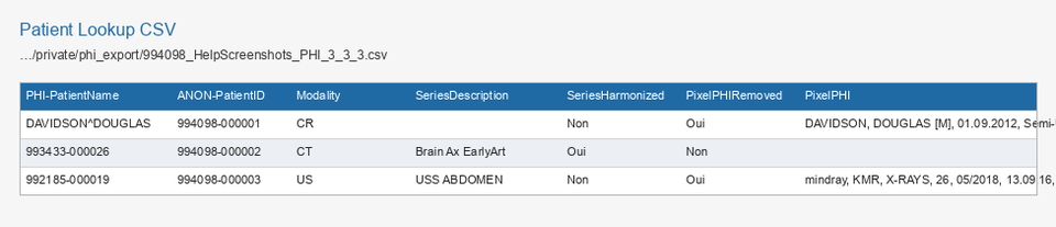 Aperçu CSV Recherche de Patient