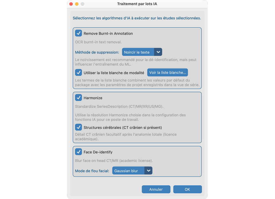 Options Traitement par lots IA